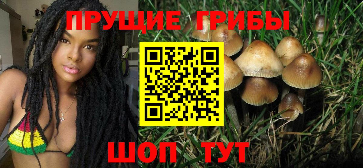 Псилоцибиновые грибы GOLDEN TEACHER Сатка